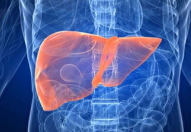 Hepatology Expertise