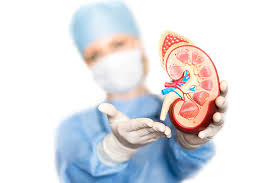 Post Renal Transplant Care